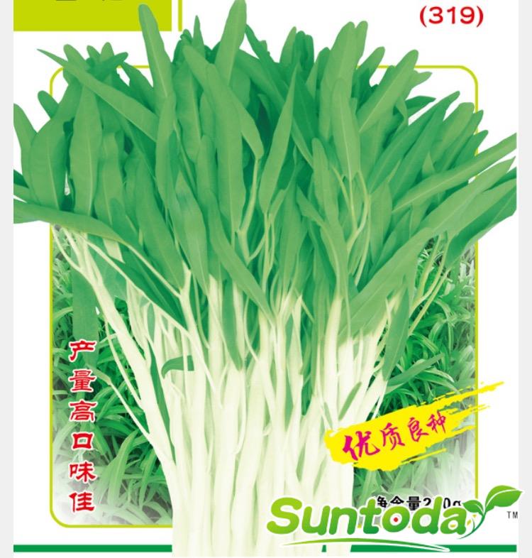 Suntoday Ceylon Spinach, Slippery Vegetable, Vine S