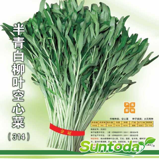 <b>Suntoday big stem green leaf  Ceylon Spinach, Slipp</b>