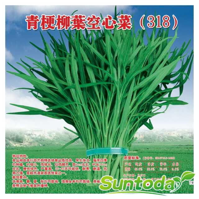 <b>Suntoday Ceylon Chinese water Spinach, Slippery Veg</b>