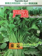 Suntoday herbal leonuri Motherwort Herb yimu cao se
