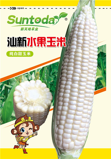 Suntoday Sweet white milk corn 