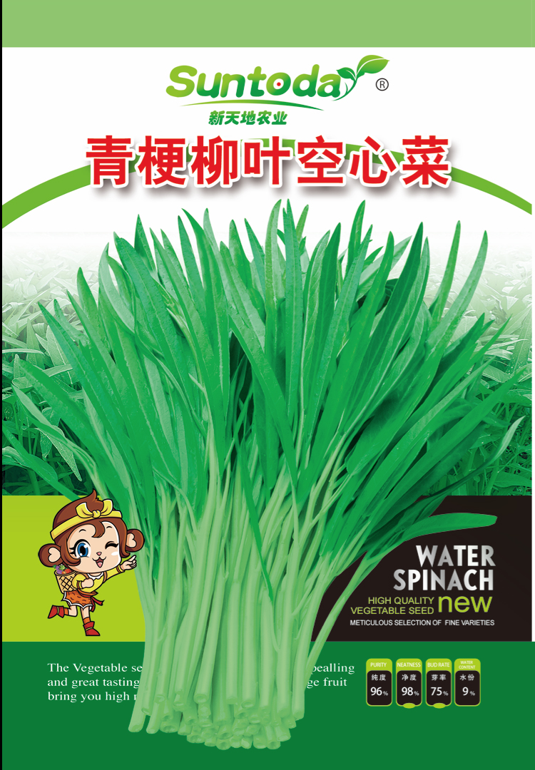 suntoday green leaf vegetable  kangkong  seeds(33001)