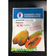 suntoday knowyou red lady papaya seeds(010)