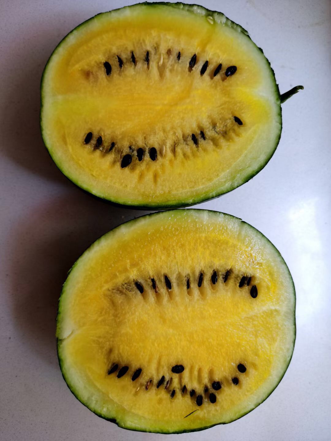 Suntoday 60day maturity icebox watermelon seeds(11051)